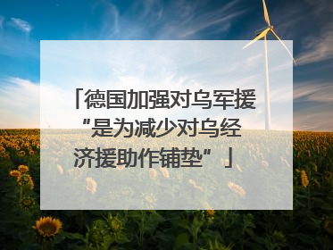 德国加强对乌军援 “是为减少对乌经济援助作铺垫”