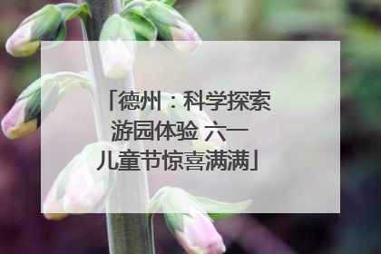 德州：科学探索 游园体验 六一儿童节惊喜满满