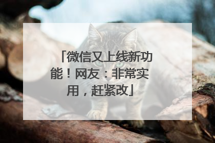 微信又上线新功能！网友：非常实用，赶紧改