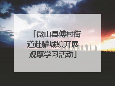 微山县傅村街道赴驩城镇开展观摩学习活动