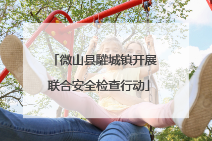 微山县驩城镇开展联合安全检查行动