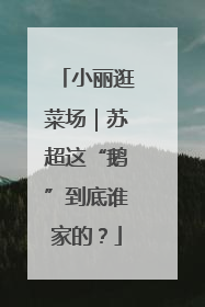 小丽逛菜场｜苏超这“鹅”到底谁家的？