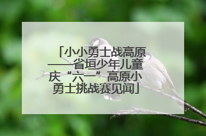 小小勇士战高原——省垣少年儿童庆“六一”高原小勇士挑战赛见闻
