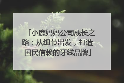 小鹿妈妈公司成长之路：从细节出发，打造国民信赖的牙线品牌