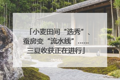 小麦田间“选秀”、蚕房变“流水线”……三夏收获正在进行