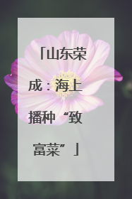 山东荣成：海上播种“致富菜”