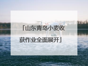 山东青岛小麦收获作业全面展开