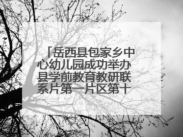 岳西县包家乡中心幼儿园成功举办县学前教育教研联系片第一片区第十三次专题研讨会