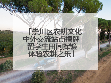 崇川区农耕文化中外交流站点揭牌 留学生田间挥镰体验农耕之乐