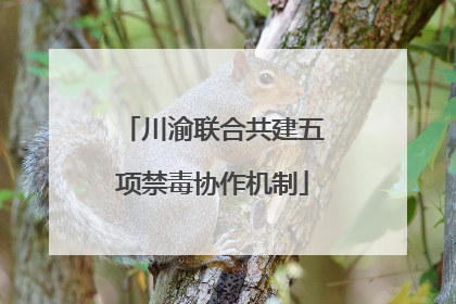 川渝联合共建五项禁毒协作机制