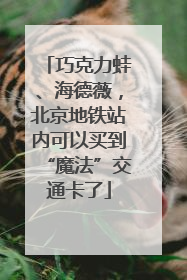 巧克力蛙、海德薇，北京地铁站内可以买到“魔法”交通卡了
