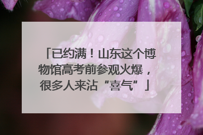 已约满！山东这个博物馆高考前参观火爆，很多人来沾“喜气”