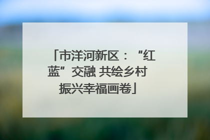 市洋河新区：“红蓝”交融 共绘乡村振兴幸福画卷