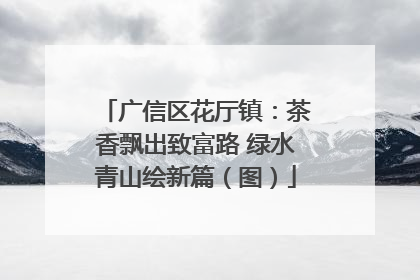 广信区花厅镇：茶香飘出致富路 绿水青山绘新篇（图）