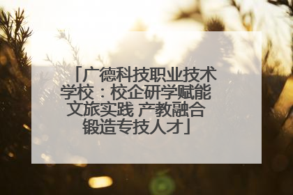 广德科技职业技术学校：校企研学赋能文旅实践 产教融合锻造专技人才