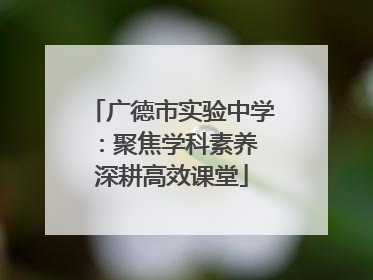 广德市实验中学：聚焦学科素养 深耕高效课堂