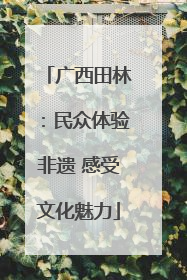 广西田林：民众体验非遗 感受文化魅力