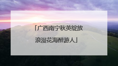 广西南宁秋英绽放 浪漫花海醉游人