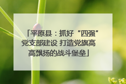 平原县：抓好“四强”党支部建设 打造党旗高高飘扬的战斗堡垒