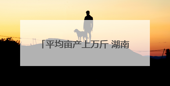 平均亩产上万斤 湖南衡山白玉丝瓜迎丰收