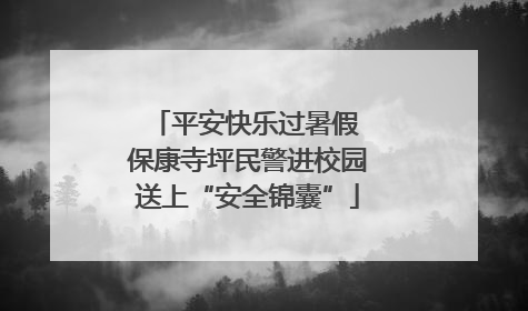 平安快乐过暑假 保康寺坪民警进校园送上“安全锦囊”