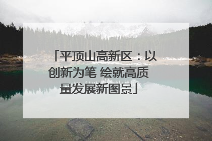 平顶山高新区：以创新为笔 绘就高质量发展新图景