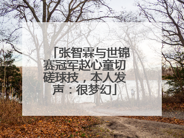 张智霖与世锦赛冠军赵心童切磋球技，本人发声：很梦幻