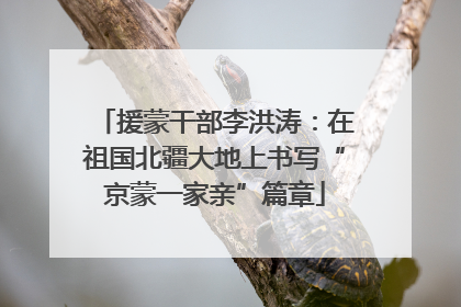 援蒙干部李洪涛：在祖国北疆大地上书写“京蒙一家亲”篇章