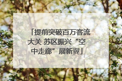 提前突破百万客流大关 苏区振兴“空中走廊”展新翼