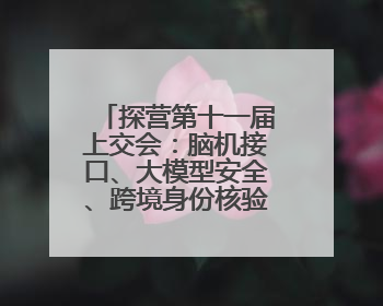 探营第十一届上交会：脑机接口、大模型安全、跨境身份核验等新技术将悉数亮相