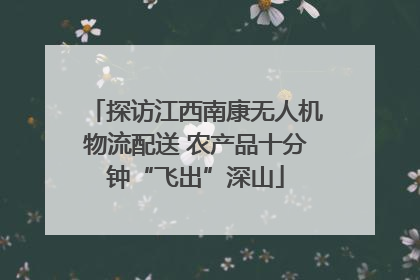 探访江西南康无人机物流配送 农产品十分钟“飞出”深山