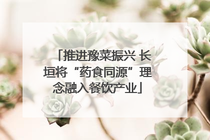 推进豫菜振兴 长垣将“药食同源”理念融入餐饮产业