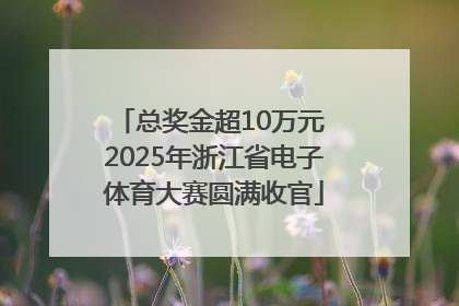 总奖金超10万元 2025年浙江省电子体育大赛圆满收官