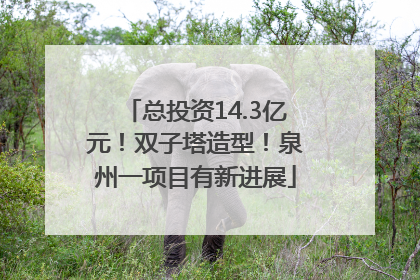 总投资14.3亿元！双子塔造型！泉州一项目有新进展