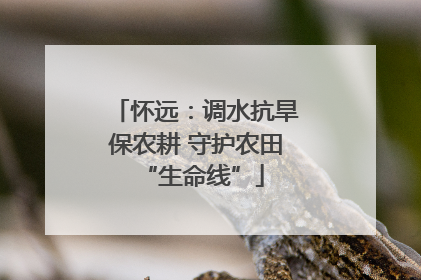 怀远：调水抗旱保农耕 守护农田 “生命线”
