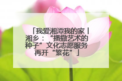 我爱湘潭我的家丨湘乡：“播撒艺术的种子”文化志愿服务再开“繁花”