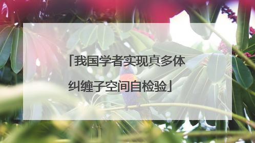 我国学者实现真多体纠缠子空间自检验