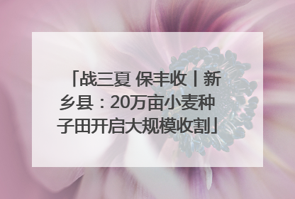 战三夏 保丰收丨新乡县：20万亩小麦种子田开启大规模收割
