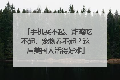 手机买不起、炸鸡吃不起、宠物养不起？这届美国人活得好难