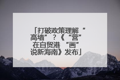 打破政策理解“高墙”？《“营”在自贸港 “画”说新海南》发布