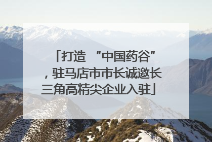 打造 “中国药谷”，驻马店市市长诚邀长三角高精尖企业入驻