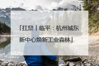 扛鼎丨临平：杭州城东新中心焕新工业森林