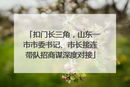 扣门长三角，山东一市市委书记、市长接连带队招商谋深度对接