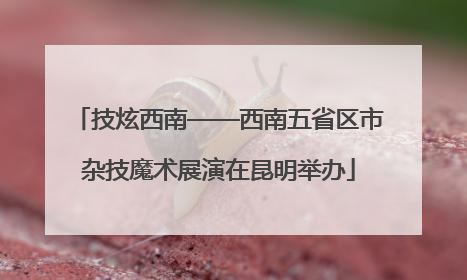 技炫西南——西南五省区市杂技魔术展演在昆明举办