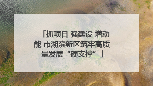 抓项目 强建设 增动能 市湖滨新区筑牢高质量发展“硬支撑”
