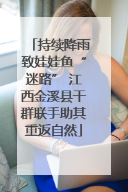 持续降雨致娃娃鱼“迷路” 江西金溪县干群联手助其重返自然