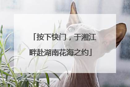 按下快门，于湘江畔赴湖南花海之约