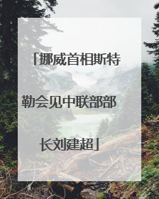 挪威首相斯特勒会见中联部部长刘建超