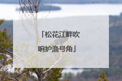 松花江畔吹响护渔号角