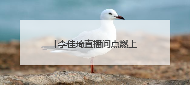 李佳琦直播间点燃上海乐高乐园热情,引领IP消费与文旅融合